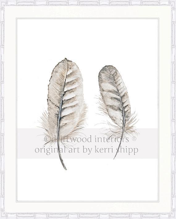 &quot;Collected&quot; Feather Wall Art Print - Driftwood Interiors