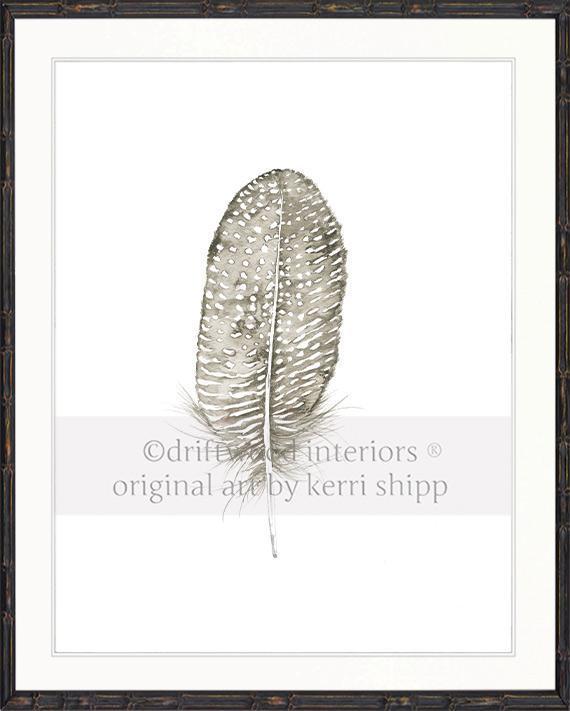 Spotted Dove Feather - Driftwood Interiors