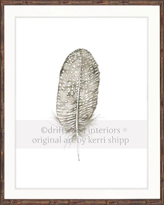 Spotted Dove Feather - Driftwood Interiors