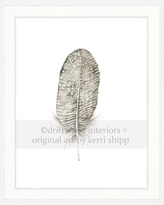 Spotted Dove Feather - Driftwood Interiors