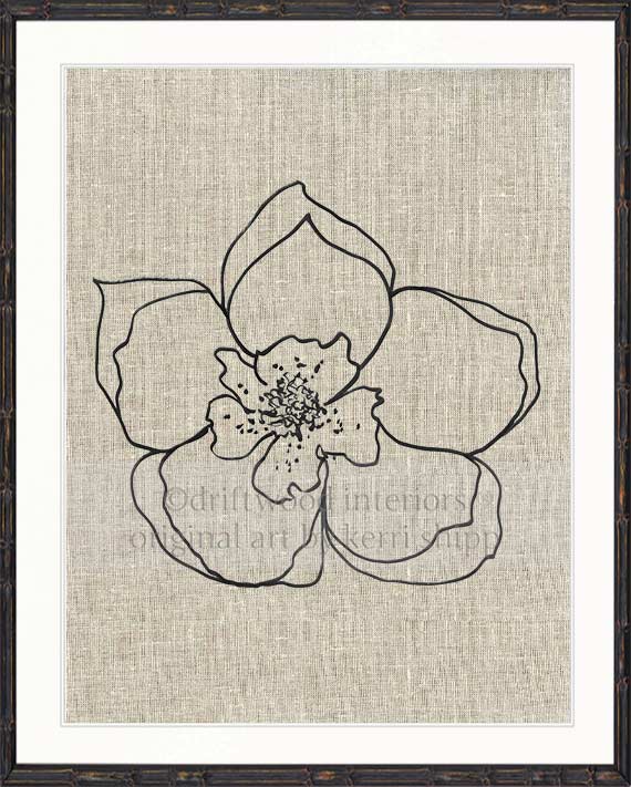 Line Drawing Art Print - Lineal Bloom I
