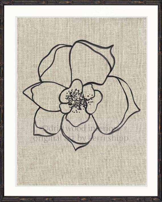 Line Drawing Art Print - Lineal Bloom II