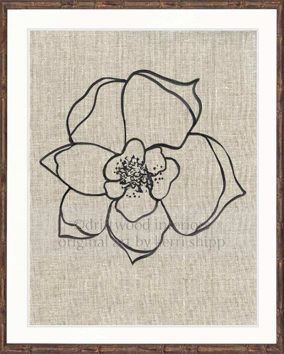 Line Drawing Art Print - Lineal Bloom II