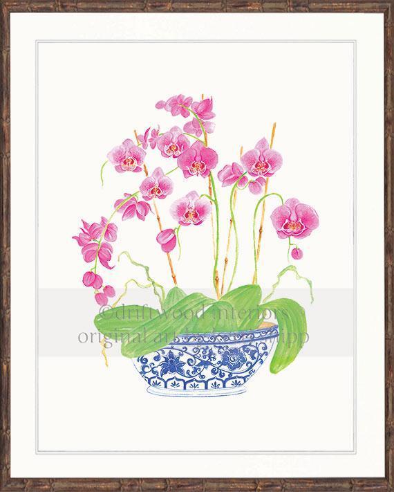Pink Orchids in Vintage Blue - Driftwood Interiors