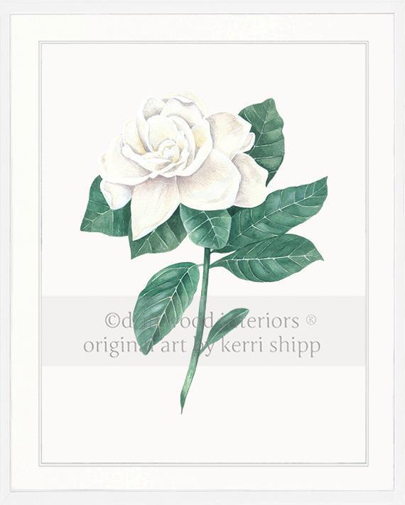 Wall art print - Gardenia Flower Print white background in white timber frame Driftwood Interiors