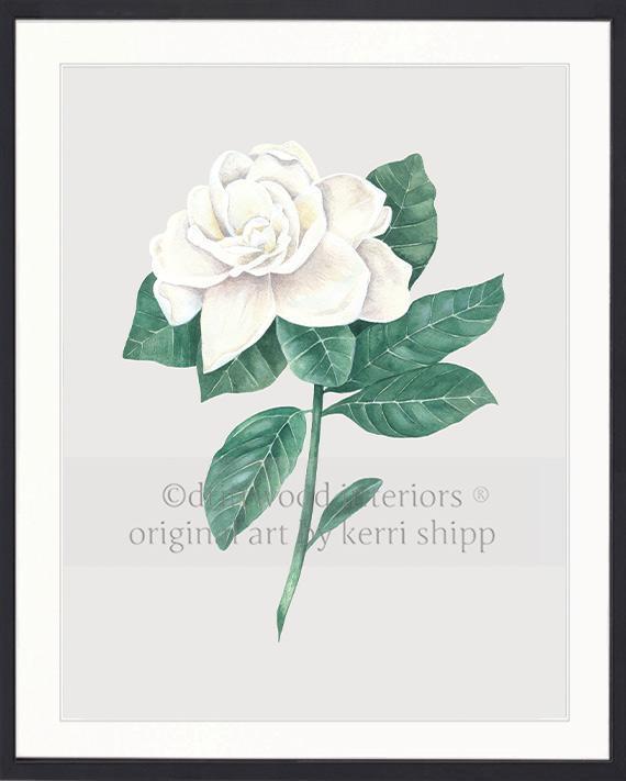Wall art print - Gardenia Flower Print antique background in black timber frame Driftwood Interiors