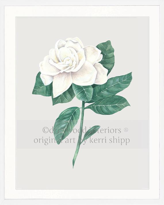 Wall art print - Gardenia Flower Print antique background in white timber frame Driftwood Interiors