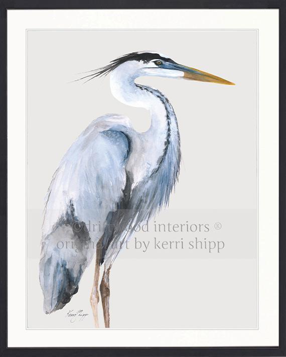 Great Blue Heron Bird Print - Driftwood Interiors