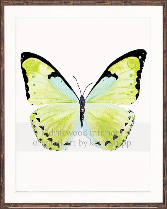 Butterfly in Green - &quot;Papillon Verte&quot;