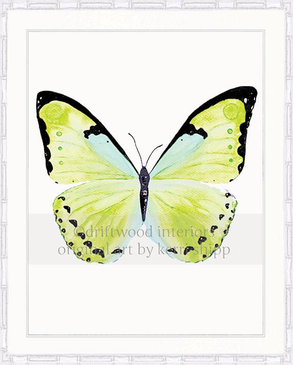 Butterfly in Green - &quot;Papillon Verte&quot;