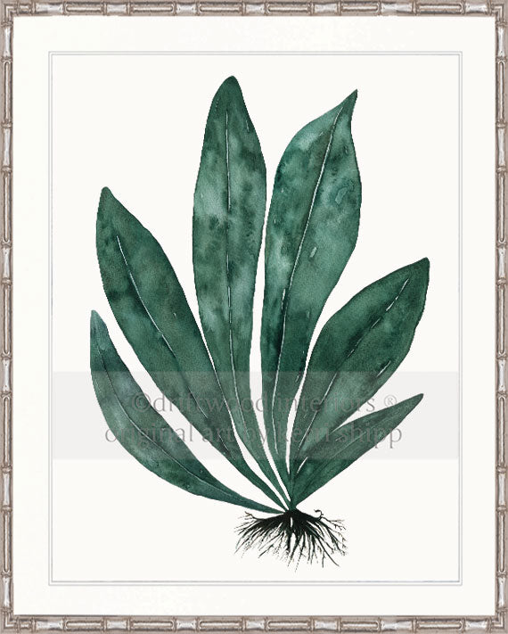 Tropical Leaf Print - Eden Foliage I in Dark Green