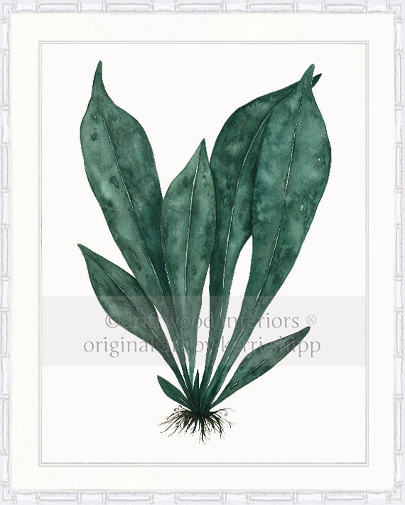 Wall art print of green tropical leaves in white bamboo frame Kerri Shipp Driftwood Interiors