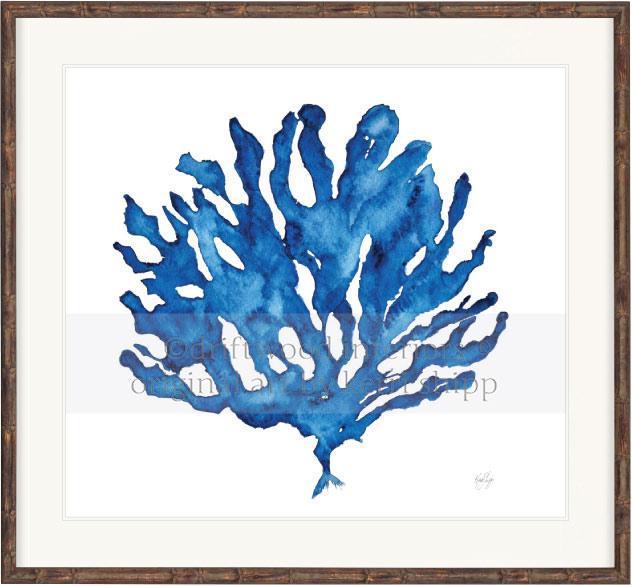 Indigo Coral III - Kerri Shipp for Designer Boys - Driftwood Interiors
