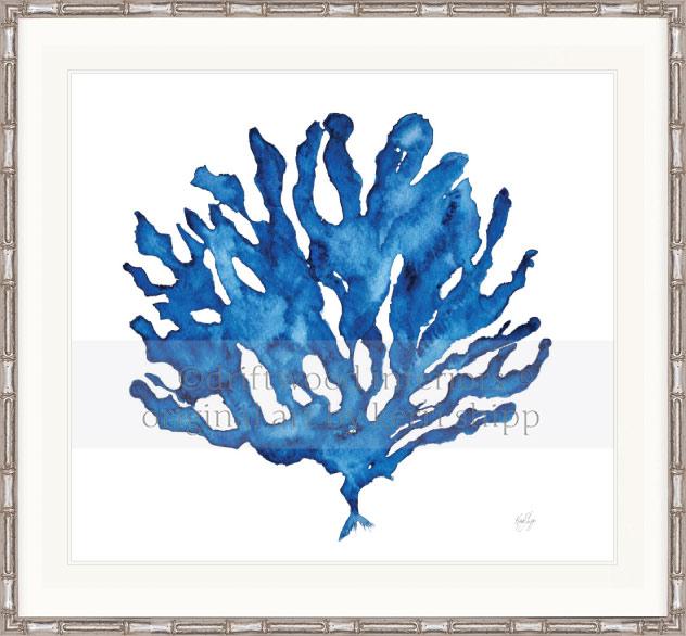 Indigo Coral III - Kerri Shipp for Designer Boys - Driftwood Interiors