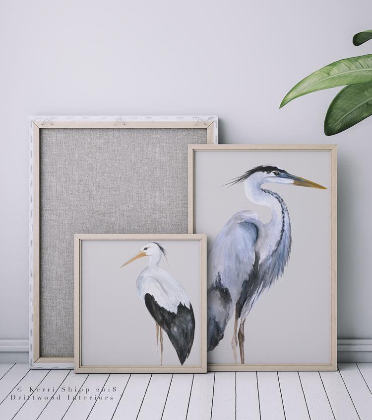 Great Blue Heron Bird Print - Driftwood Interiors