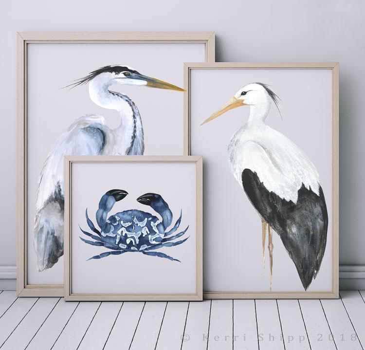 Blue Crab Watercolour Print - Driftwood Interiors