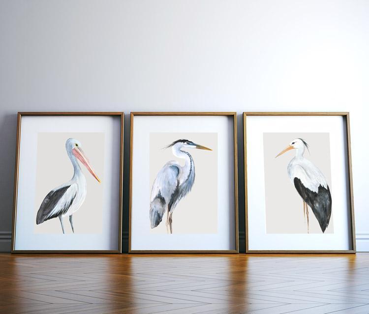 Pelican Bird Print - Driftwood Interiors