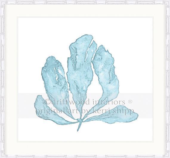 Pale Blue Coral II - Driftwood Interiors