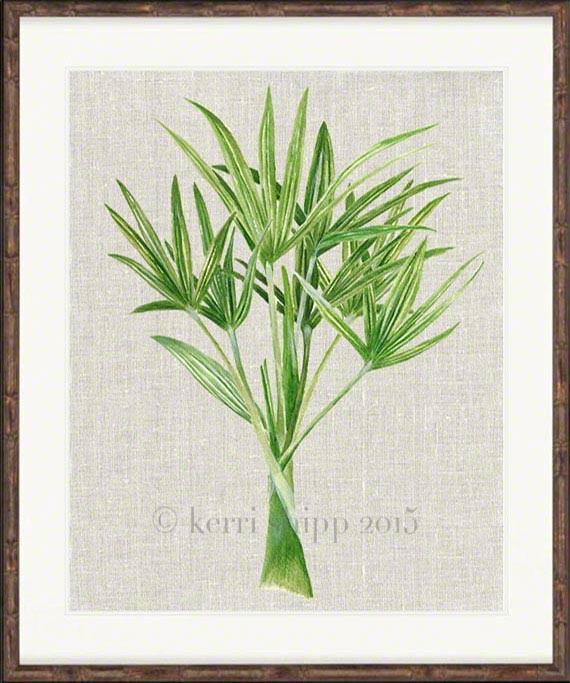 Palm Tree II - Driftwood Interiors