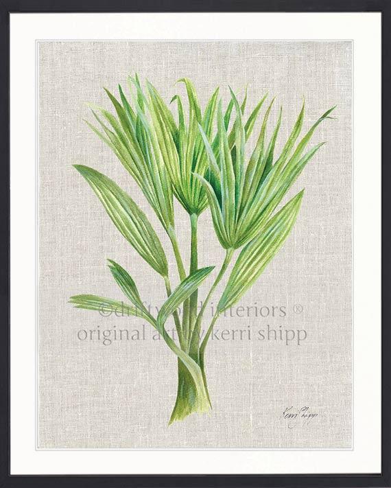 Palm Tree I - Driftwood Interiors