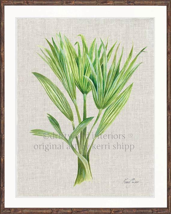 Palm Tree I - Driftwood Interiors