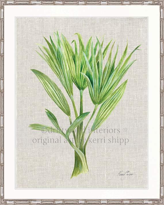 Palm Tree I - Driftwood Interiors