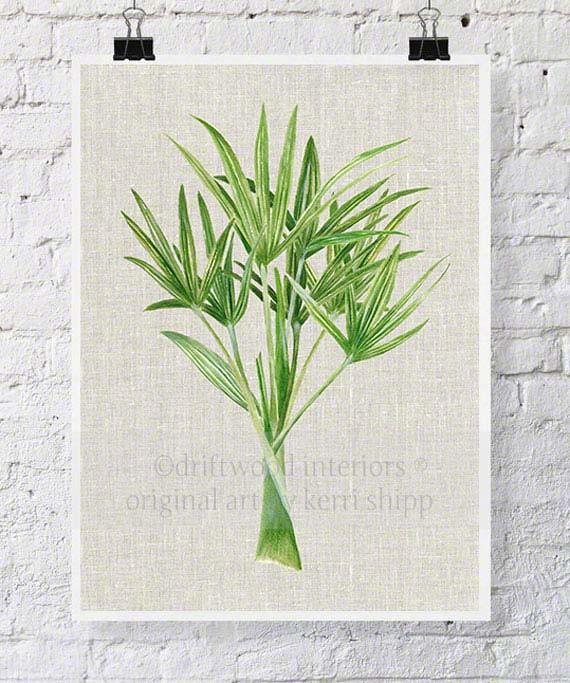 Palm Tree II - Driftwood Interiors