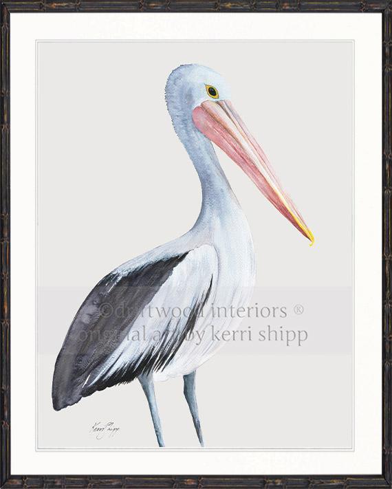 Pelican Bird Print - Driftwood Interiors