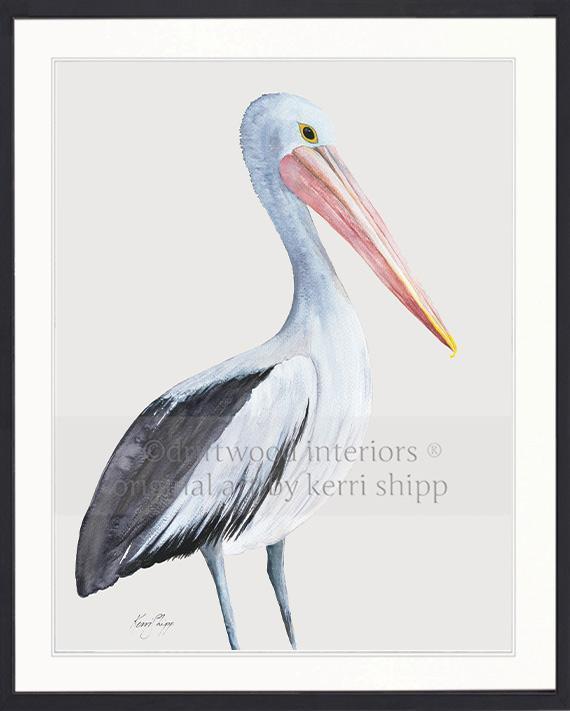 Pelican Bird Print - Driftwood Interiors