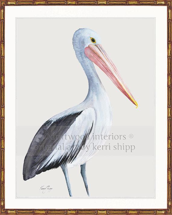 Pelican Bird Print - Driftwood Interiors