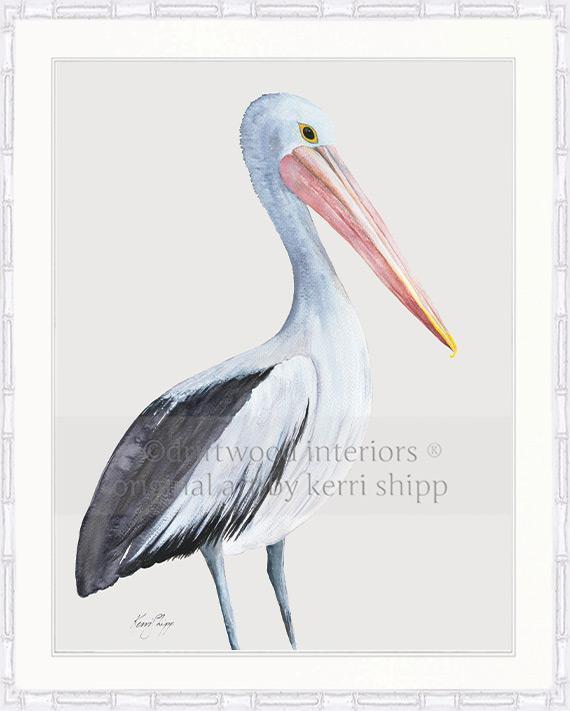 Pelican Bird Print - Driftwood Interiors