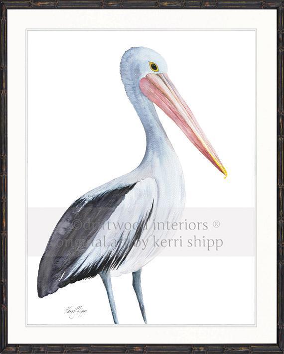 Pelican Bird Print - Driftwood Interiors