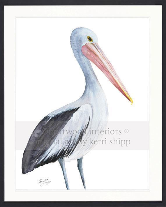 Pelican Bird Print - Driftwood Interiors