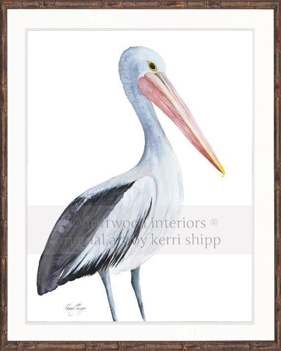 Pelican Bird Print - Driftwood Interiors