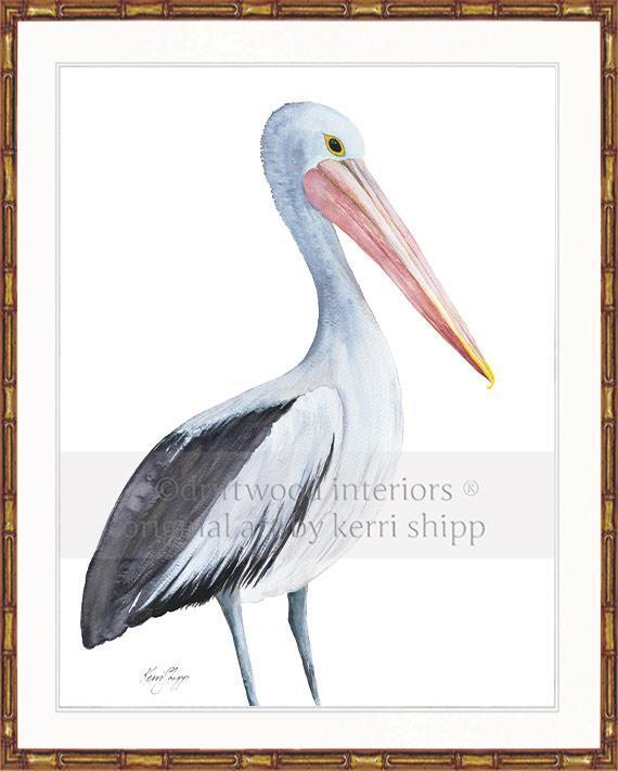 Pelican Bird Print - Driftwood Interiors
