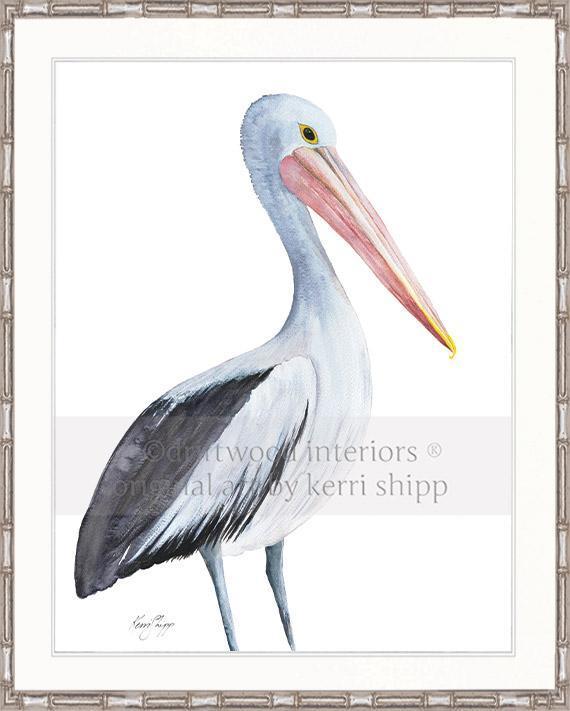 Pelican Bird Print - Driftwood Interiors