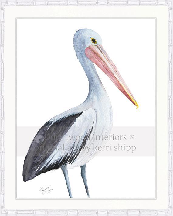 Pelican Bird Print - Driftwood Interiors
