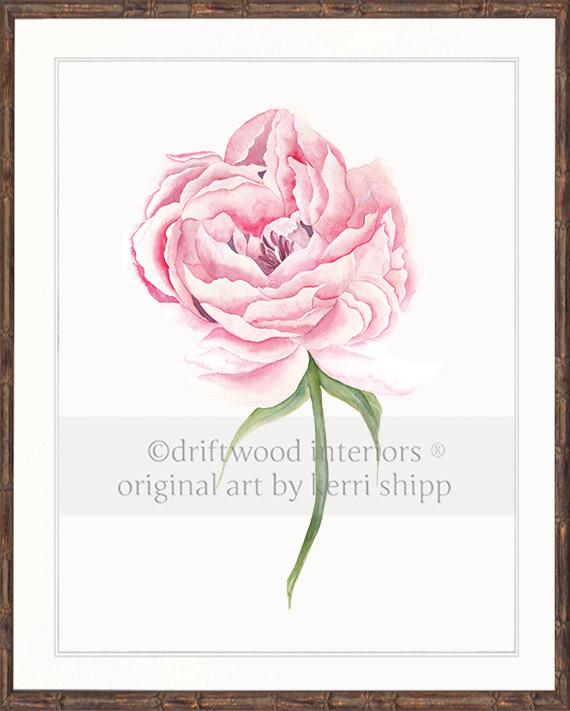 Pink Peony Flower Wall Art Print in Brown Bamboo Frame - Driftwood Interiors