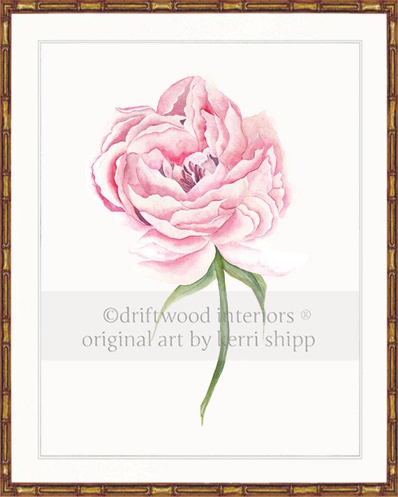 Pink Peony Flower Wall Art Print in Gold Bamboo Frame - Driftwood Interiors