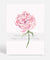 Pink Peony Flower Wall Art print by Kerri Shipp Driftwood Interiors