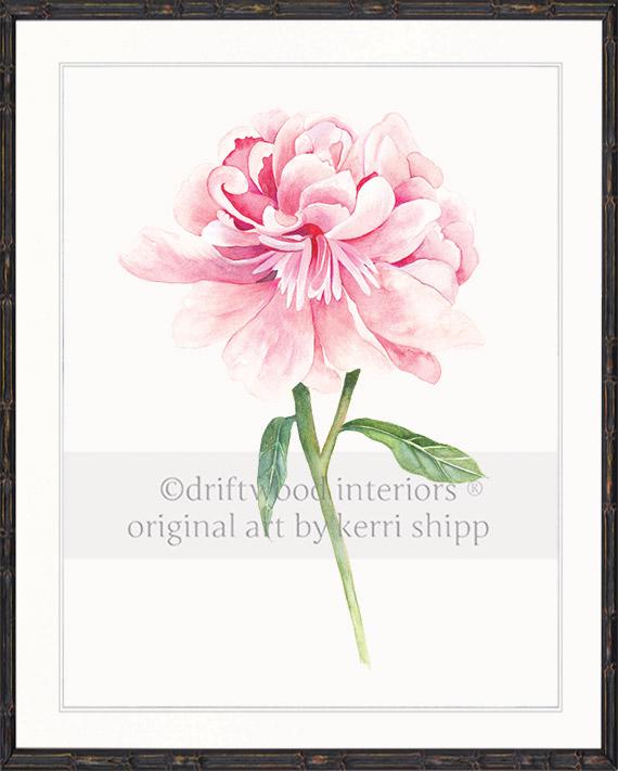 Floral Wall Art Print - Peony II in Pink