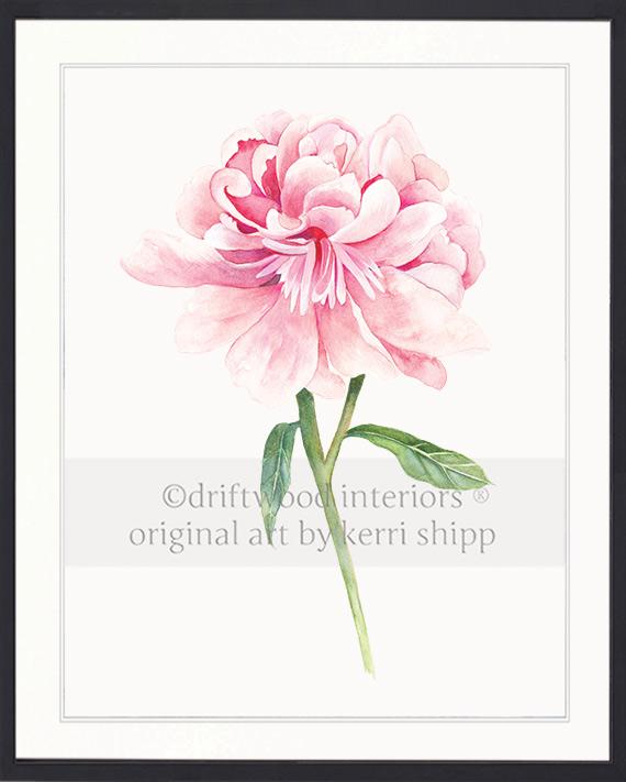 Floral Wall Art Print - Peony II in Pink