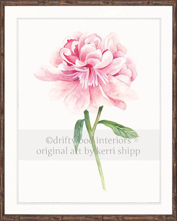 Floral Wall Art Print - Peony II in Pink