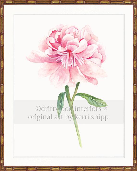Floral Wall Art Print - Peony II in Pink