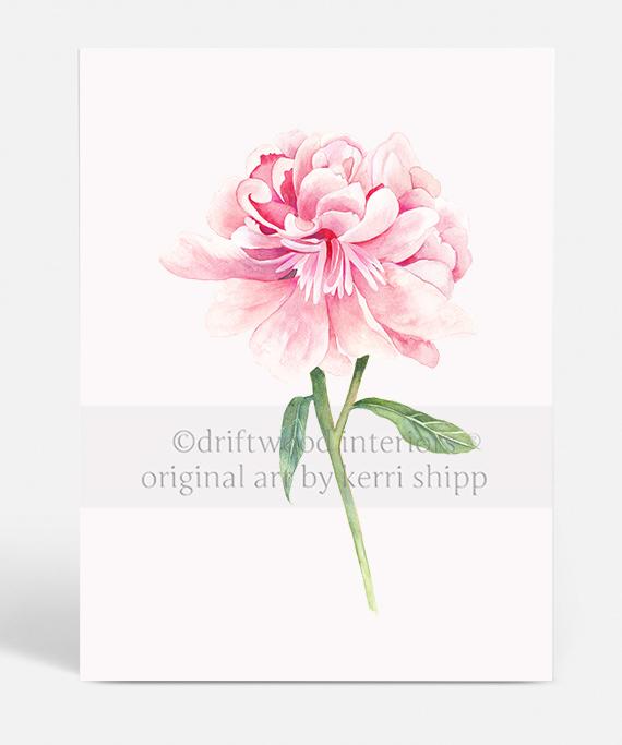 Floral Wall Art Print - Peony II in Pink