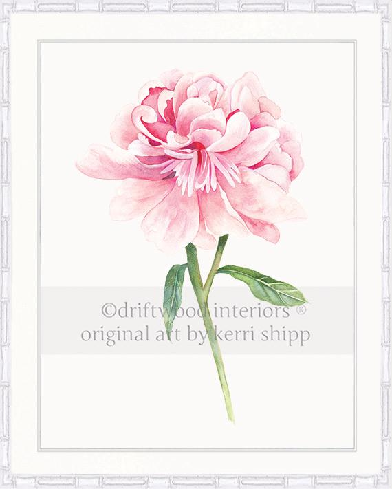 Floral Wall Art Print - Peony II in Pink