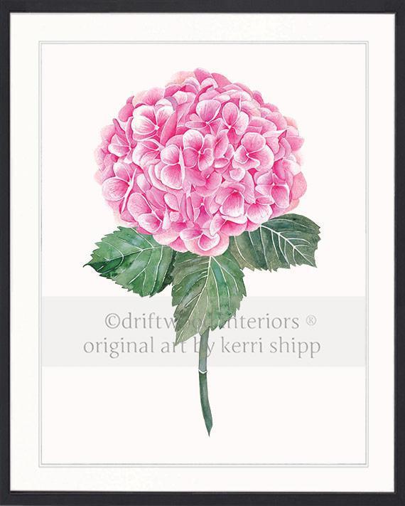 Botanical Wall Art Print - Pink Hydrangea I - Driftwood Interiors