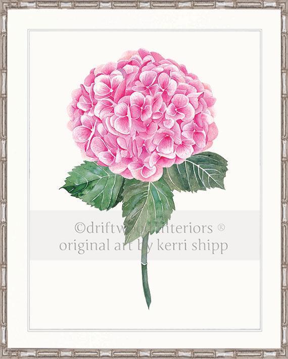 Botanical Wall Art Print - Pink Hydrangea I - Driftwood Interiors