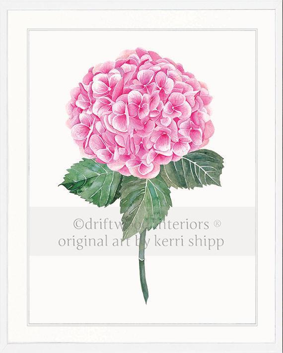 Botanical Wall Art Print - Pink Hydrangea I - Driftwood Interiors
