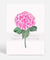 Botanical Wall Art Print - Pink Hydrangea I - Driftwood Interiors